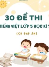 Bộ 30 Đề thi Tiếng Việt Lớp 5 Học kì 1 (Có đáp án)